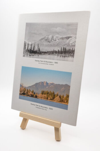 Now & Then: Stanley Park and mountains