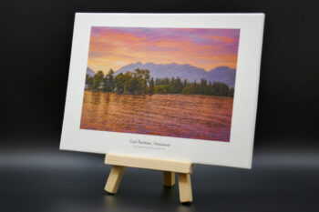 Coal harbour and Stanley Park glowing red right after sunset