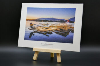 Docked seaplanes in Vancouver's Coal Harbour