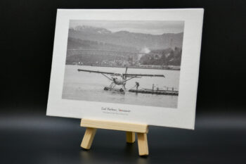 Seaplane and Second Narrows Bridge